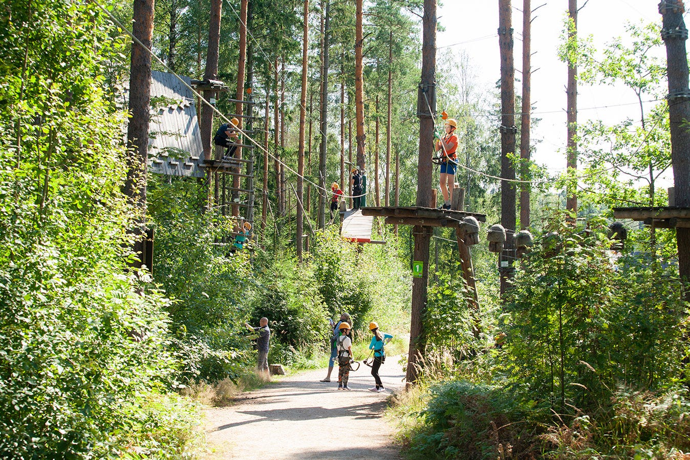 Kaivokselassa luonto koputtaa kotiovella - Vantaa - Paloheinän Seikkailupuisto Korkee