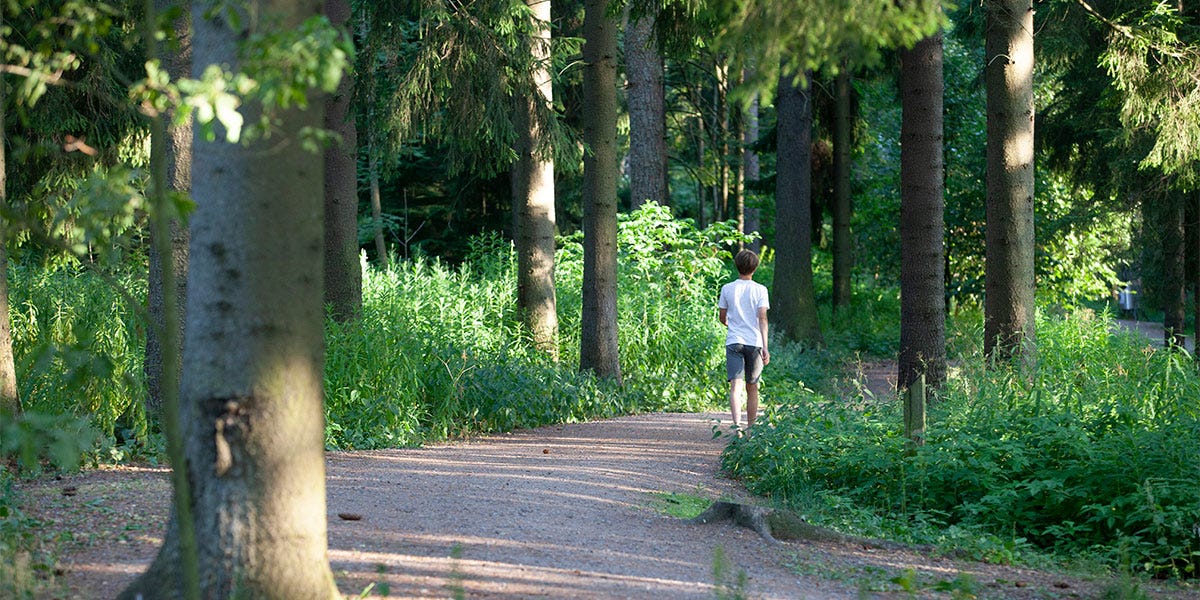 Myyttavat_Asunnot_vantaa_puulajipuisto_1200x600.jpg