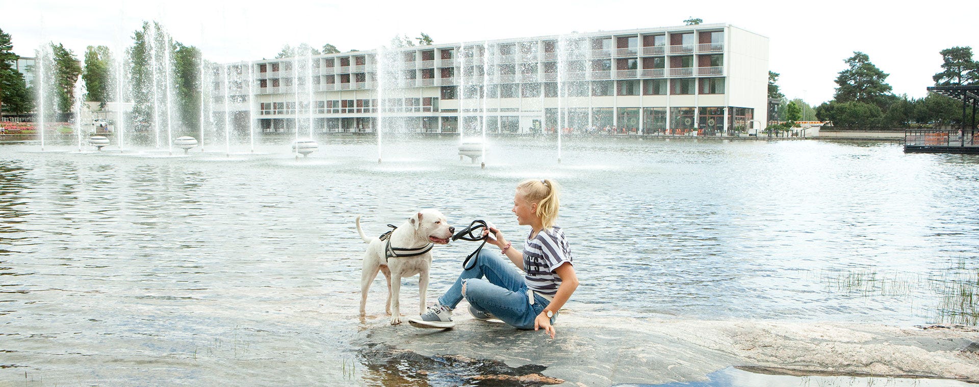 Tapiolan Keskusaltaan suihkulähteet Espoossa. Etualalla nainen istuu veden äärellä kivellä ja hymyilee valkoiselle koiralleen, joka seisoo vedessä. Taustalla moderni valkoinen rakennus ja suihkulähteiden vesipatsaat.