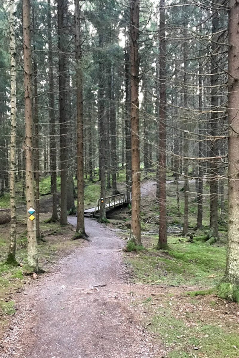 Sipoonkorpi - Sipoonkorven kansallispuiston Kalkinpolttajanpolku.