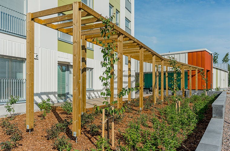 Vantaan Seela 1:n vehreä piha-alue, jossa puinen pergola tukemassa köynnöskasveja. Maaperä on istutettu erilaisilla kasveilla, luoden vehreän ja viihtyisän ympäristön. Taustalla moderni asuinrakennus ja värikäs piharakennus.